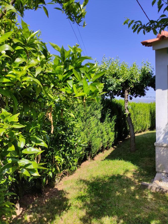 Casas Do Paco - Casas De Ferias Cabeceiras de Basto Bagian luar foto