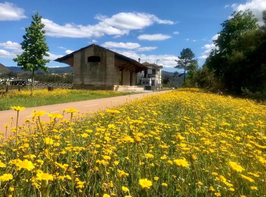 Casas Do Paco - Casas De Ferias Cabeceiras de Basto Bagian luar foto